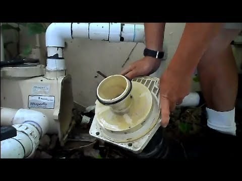 Replacing a Pool Pump Housing Gasket
