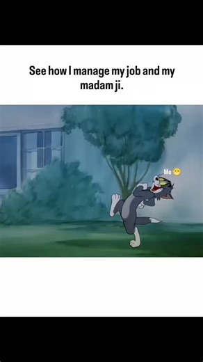 @Kids family1234 on Instagram: "@kids_family1234🐹 Interesting Fact: Boonie Bears: Time Twist (2024) - This film is the tenth feature installment in China's wildly popular Boonie Bears franchise, a series so successful that it consistently dominates the Chinese New Year box office. $ The film broke new ground for the franchise by tackling the complex themes of time travel and alternate realities, a departure from the series' usual simple forest adventures. The production team used this sci-fi tw