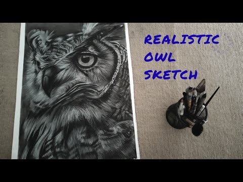🔥 Hyperrealistic Owl portrait 🦉 | Step by Step Charcoal Sketch @artistminalmishra