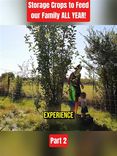 Storage Crops to Feed Our Family ALL YEAR! | Part 2 #StorageCrops #homesteadlife #FoodSecurity #GrowYourOwnFood #growyourownfood #FamilyFarm #gardening #fyp #viral