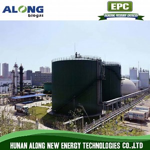 [Hot Item] Food Waste Treatment Steeltank Reactors Biogas Plant/Digester/Project