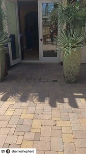 2.2K views · 25 reactions | In honor of #InternationalDanceDay, we’re celebrating Sherri Shepherd's amazing weight loss success by getting our dance on! Join Sherri’s HealthyWager, the individual weight loss challenge customized to you, and get $50 added to your prize ➡️➡️➡️ www.healthywage.com/sherri *Neither HealthyWage nor Sherri Shepherd own rights to this music #weightlosschallenge #weightlosssuccess #weightlossmotivation | HealthyWage | Facebook