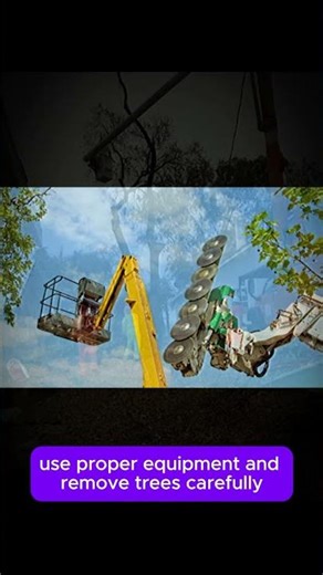 Expert Tree Removal Services in Valley Springs, CA | Lone Pine Tree Service