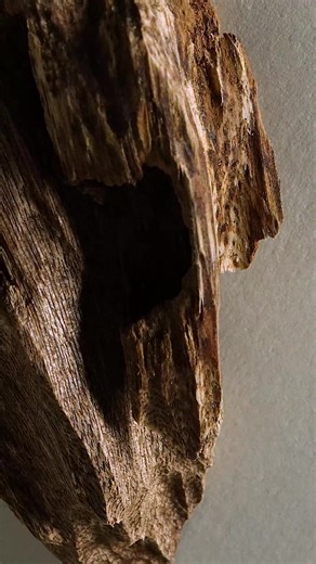 Sapil Oud Perfume: A Spicy Sophisticated Experience