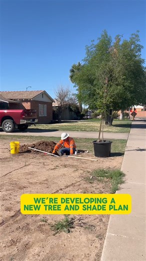 7.6K views · 42 reactions | We're developing a new Tree and Shade Plan! Help us shape the future of trees and shade in Phoenix. Share your feedback with us by taking our community feedback questionnaire today: https://bit.ly/3Tx0Vdc | City of Phoenix, AZ USA | Facebook