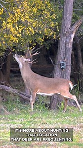 38K views · 253 reactions | Reading deer signs with Land & Legacy | Whitetail Properties | Facebook