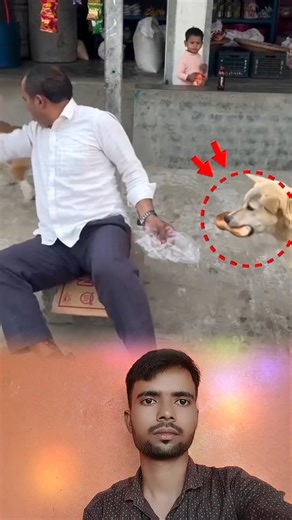 The Dog ate the bread Roll || 😱😱 #shorts #explore #dog #wildlife