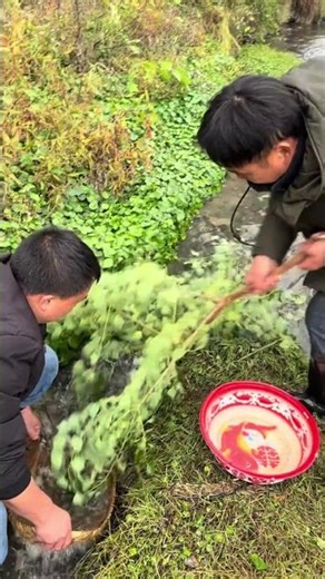 Unboxing the Latest Tech Gadget - Is It Worth the Hype