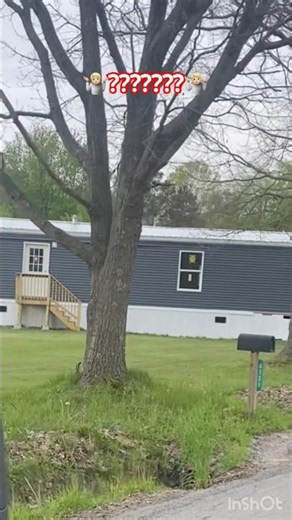 New Mobile Home-Steps And Siding Falling Off Already!