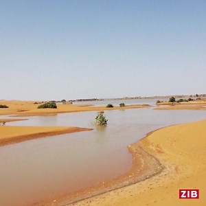 Flut in der Wüste: Die Sahara wurde zum ersten Mal seit 50 Jahren überflutet. In Teilen Marokkos hat es innerhalb weniger Tage überdurchschnittliche geregnet. Jetzt stehen Teile der Wüste unter Wasser. Das berichtet der marokkanische Wetterdienst. | Zeit im Bild