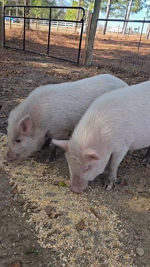 Kristina Stuart on Reels