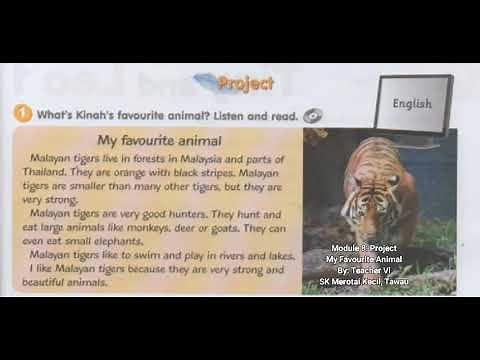 Get Smart Plus 4, Module 8. Project. My Favourite Animal - Page 87