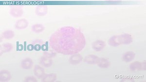 Serology: Tests, Techniques & Purposes - Video | Study.com