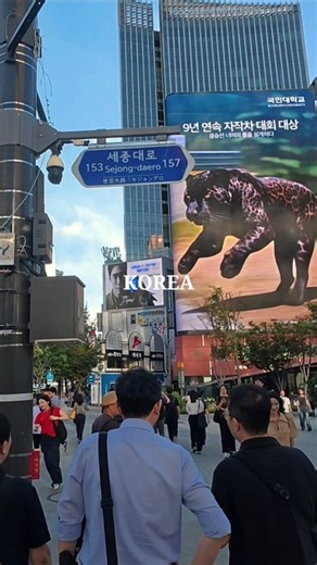 한국의 여름, 활기찬 서울 광화문 광장 워킹투어A Summer in Korea: A Lively Walking Tour of Gwanghwamun Square in Seoul