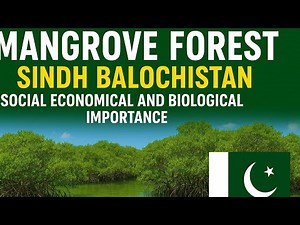 Mangroves Forest Social Economical Biological & environmental importance in Pakistan