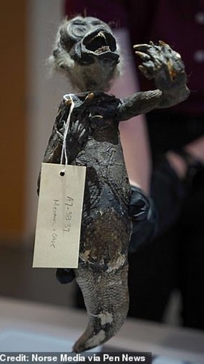 4.1K views | The Tale of Springfield's Bizarre Mermaid Have you...