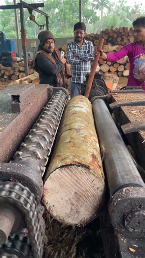 Fast wood operating systems 🌲🪵|#peeling #wood #woodworking