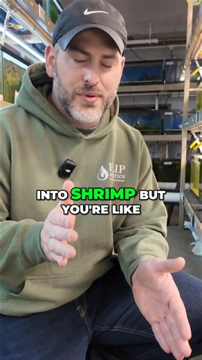 Have you seen a crayfish this small before?! Shop Crayfish https://flipaquatics.com/collections/dwarf-crayfish Other Helpful Links: 👨‍👩‍👧‍👦 Unlock exclusive content & perks — Join the Aquarium Club! Join here 👉 https://www.youtube.com/channel/UCwqXcfzaWIkNPtvlYuLb1Dg/join 👾 Join our Flip Fam on Discord — chat, learn, and connect with our community! Hop in here 👉 https://discord.gg/NTcvt5YuYH 📺 Subscribe to follow the journey — big things are happening! Subscribe now 👉 https://www.youtub