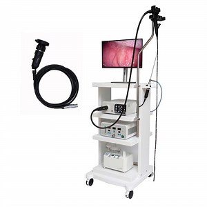 [Hot Item] Medical Flexible Rigid Ent Endoscope Veterinary Otoscope Ear Endoscope with Working Channel