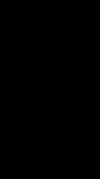 ✨Dance it out with iLuminate in Las Vegas and on tour in the US! Get tickets now @ iLuminate.com #iluminate #dance #linkinbio | ILuminate | Facebook