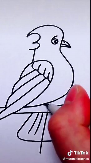 The easiest way to draw a bird. #fyp #drawing #painting #art