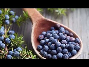 The Remarkable Health Benefits of Juniper Berries