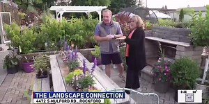 The Landscape Connection