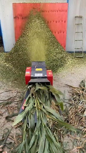 #Agriculture #LivestockMachineryCattleAndSheepRaisingEquipment 8-ton Chopping and Kneading Machine (Bedroom Version) with Adjustable Gear and Length, Internal Six-Blade Twelve-Flanged Alloy Blades | New Tecnology