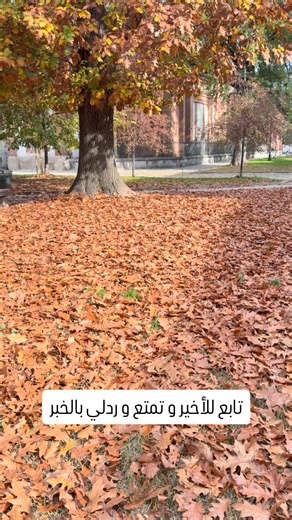 ‎الجزائر الخضراء‎ on Instagram‎: "تابع للأخير و تمتع و ردلي بالخبر"‎