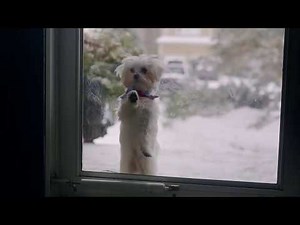 Avira Free Security - Password Manager "Mot de passe oublié?" Pub 17s