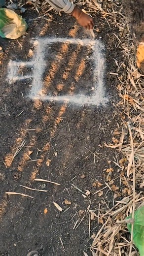 today create mini dream house 🏡 आज हमने ड्रीम हाउस बनाने का कामशुरू किया 👍 #dreamstory #dreamshouse