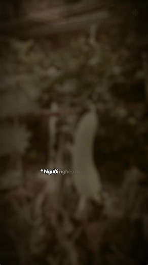 bởi vậy khi có tiền người ta sẽ nhìn bạn với con mắt khác và khi không tiền có khi họ chẳng thèm nhìn xem mặt bạn tron hay vuông nữa