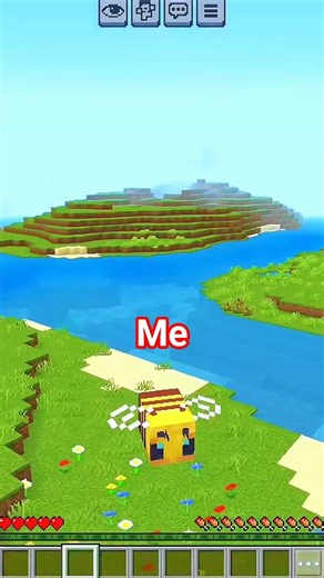 Minecraft But I am a Honey Bee #minecraft