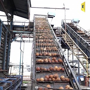 1.2M views · 3.4K reactions | Inside KARA Indonesia Coconut Processing Factory | Mechanical Mind | Facebook