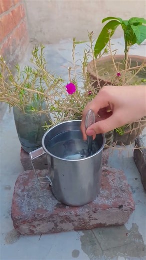 The shampoo magick trick exprement #science #scienceexperiment