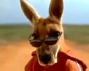 Kangaroo Jack Trailer OV