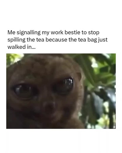 Work Bestie Spill the Tea Meme