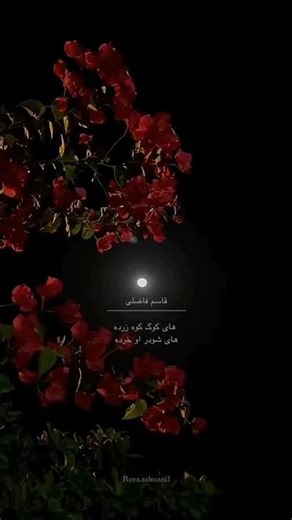 #لری #اهنگ #کلیپ #اهنگ_لری #بختیاری #قاسم_فاضلی #شاد #عاشقانه