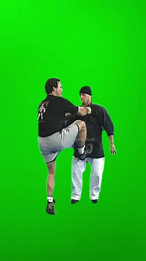 Quick and Effective Don Frye Judo Throw Meme
