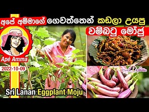 ✔ වම්බටු මෝජු උයන රසම ක්‍රමය,අපේ අම්මාගේ ගෙවත්තෙන් කඩපු Traditional Eggplant moju / wambatu Apé Amma