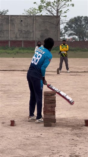 Cricket: Bat or No Bat?