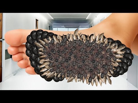 ASMR Foot Massage for Deep Sleep | Stress Relief & Sleep Sounds