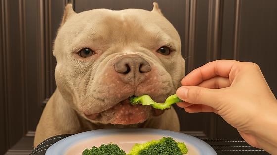Dog Eating Healthy Broccoli for Dinner