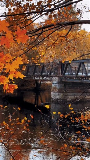 Wouldn’t want to be anywhere else 🍁 #aviemore #cairngormsnationalpark #riverspey #gastropub #dogfriendly #cairngorms | The Old Bridge Inn & Bunkhouse