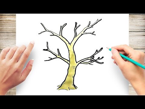 How to Draw Bare Tree Step by STep