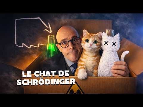 Everything you need to know about Schrödinger's cat