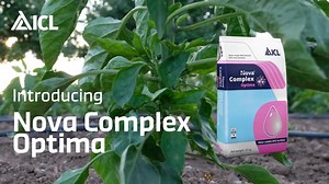 42 reactions | Introducing the groundbreaking water-soluble...