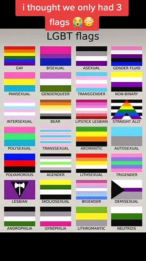 Exploring Gender Identity and Flags in the LGBTQ Community