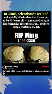 They Killed a 507-Year-Old Clam by Mistake 😳