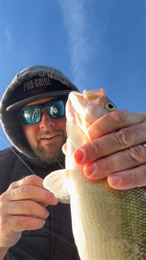 Joey Nania | “The Frozen Sea Biscuit” I’ve been catching fish using this technique for over 10 years and it’s still just as deadly as ever!... | Instagram